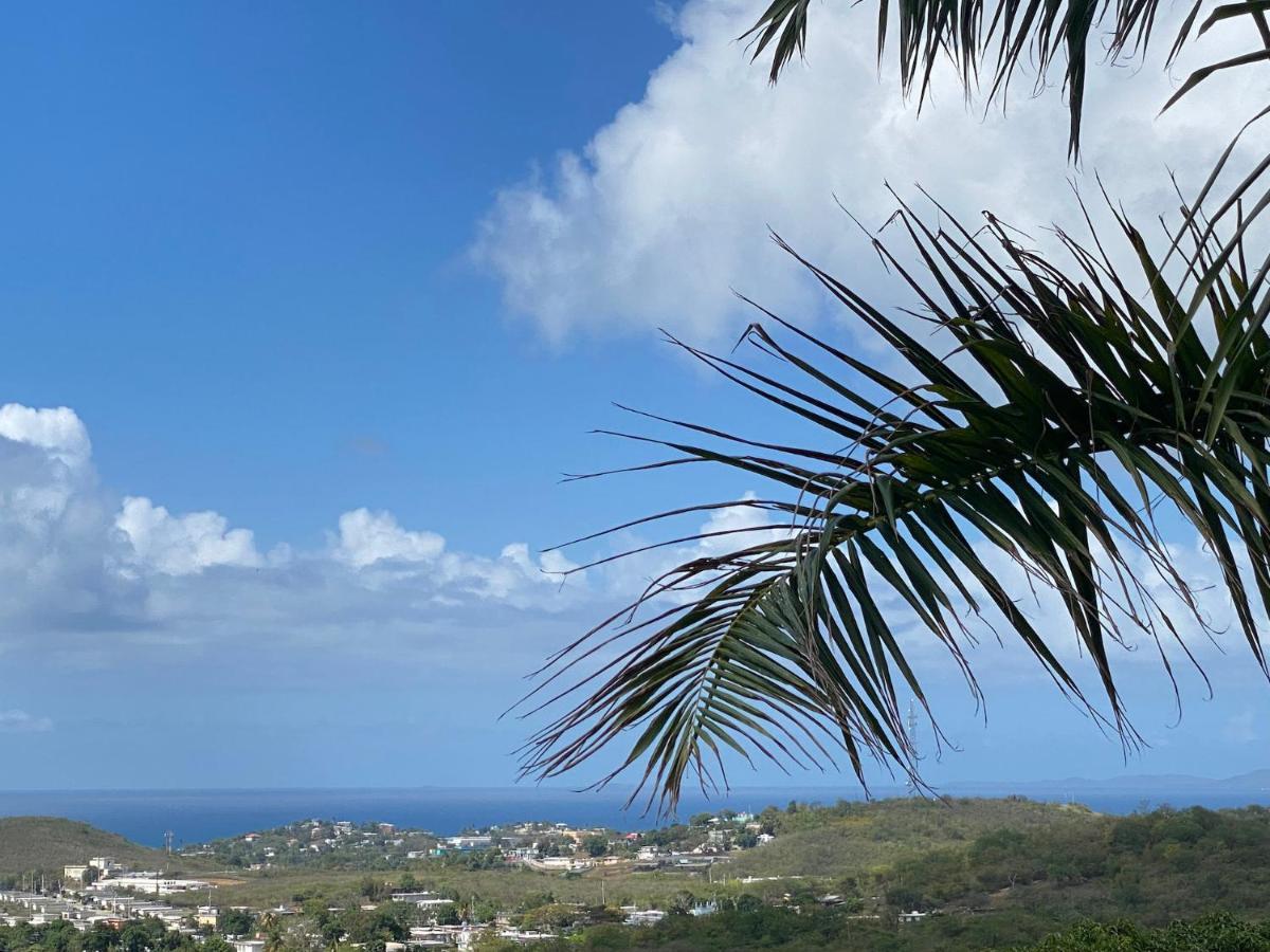 Las Terrazas Los Chivos Vieques Exterior photo