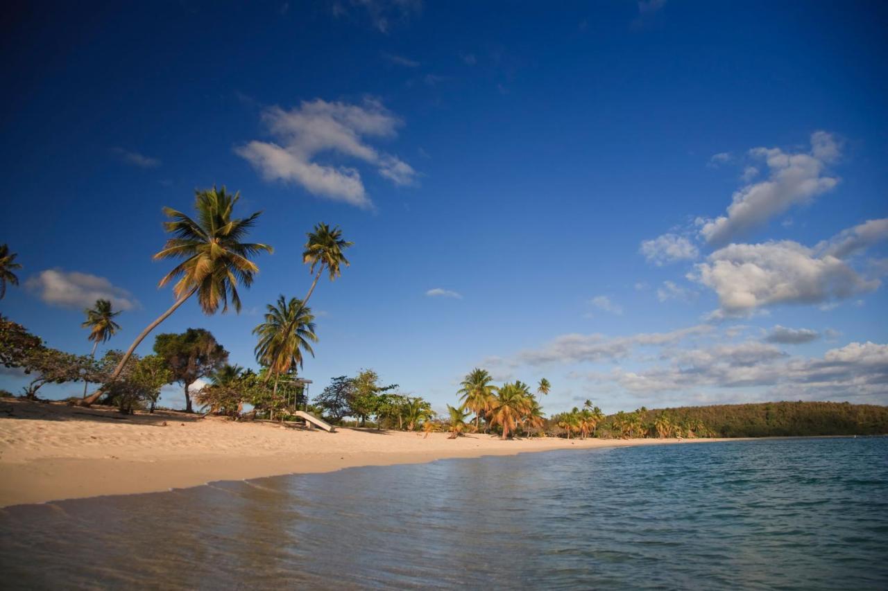 Las Terrazas Los Chivos Vieques Exterior photo